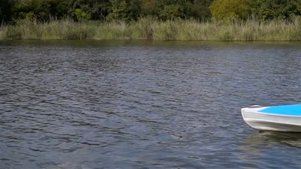 Actieve ontspanning op de rivier — Stockvideo