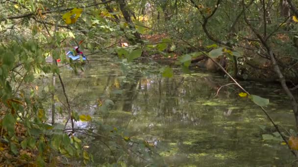 在森林河在皮艇游泳的女孩 — 图库视频影像