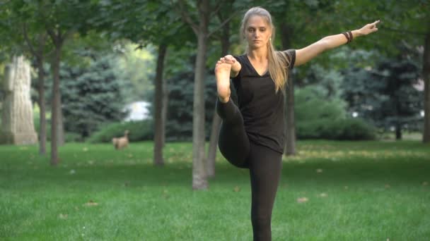 La chica en el parque haciendo yoga — Vídeo de stock