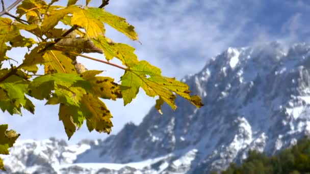 山の秋 — ストック動画