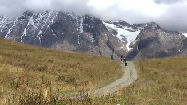 Велогонщики на горной дороге — стоковое видео