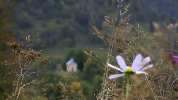 Kleine kerk in de bergen. — Stockvideo