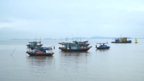 Grupp av traditionella vietnamesiska båtar — Stockvideo