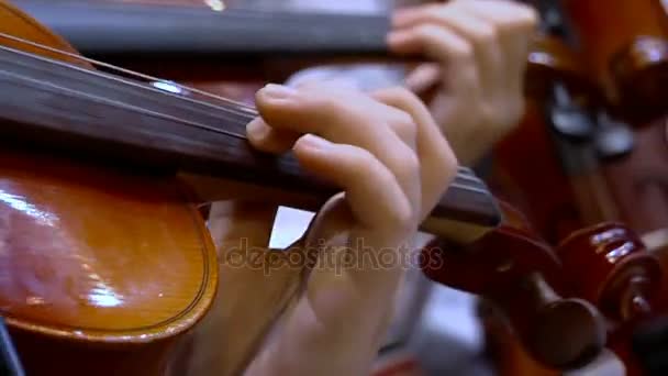 Violinists in the orchestra. — Stock Video