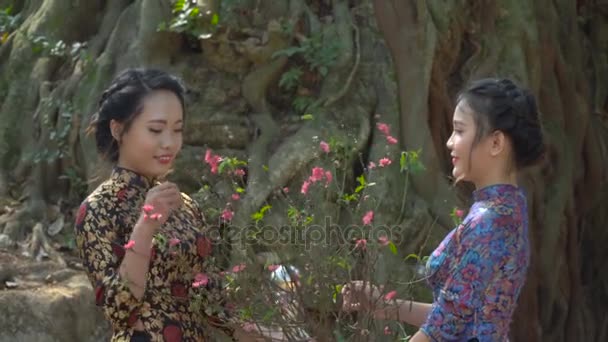 Due belle ragazze asiatiche — Video Stock