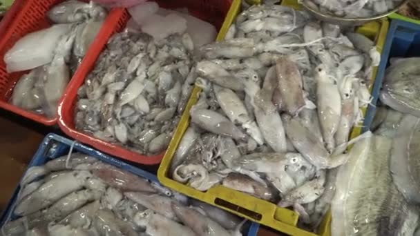 Fresh seafood in the fish market — Stock Video