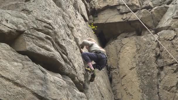 Girl rock climbing in nature — Stock Video