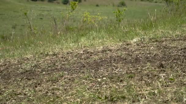 Moto excès de vitesse sur la saleté gros plan .