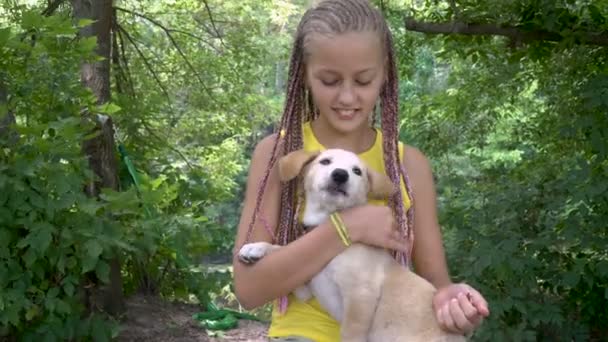 Uma menina acariciando um cão — Vídeo de Stock