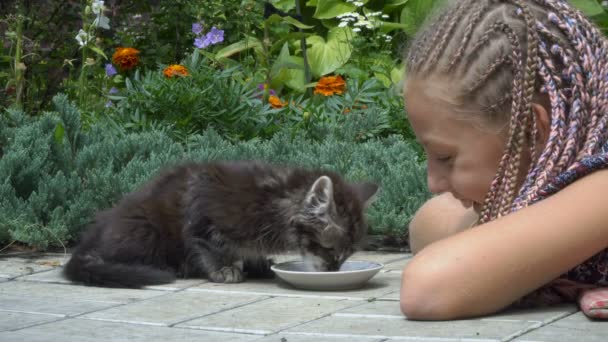 Menina e gatinho — Vídeo de Stock