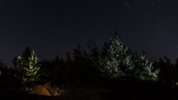 Turist çadır gece ormanda — Stok video