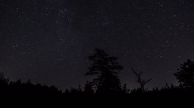 Gece gökyüzündeki yıldızlar