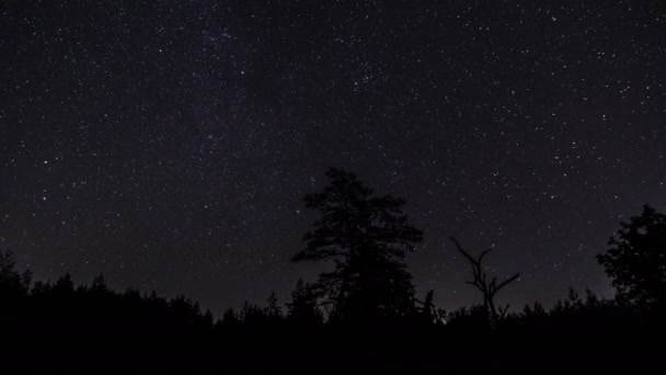 Estrellas en el cielo nocturno — Vídeo de stock