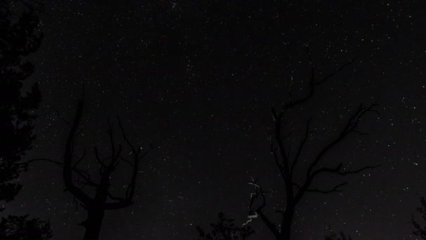 Sterren aan de nachtelijke hemel — Stockvideo