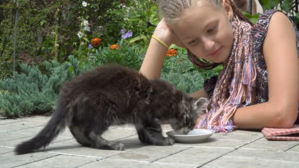 Meisje en kitten — Stockvideo