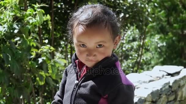 Гималайские дети в горной деревне — стоковое видео