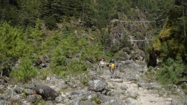 Turistas com mochilas nas montanhas do Nepal — Vídeo de Stock