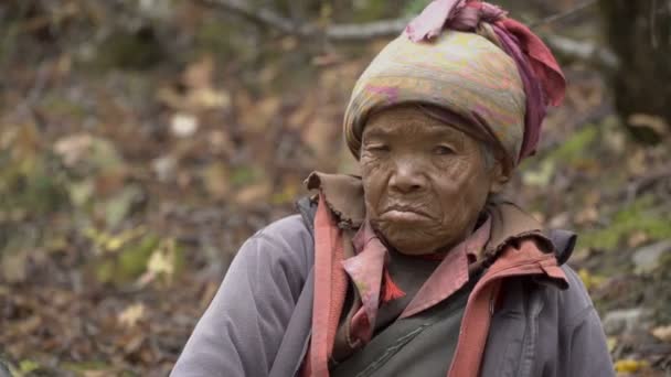 Portrait of an old woman — Stock Video