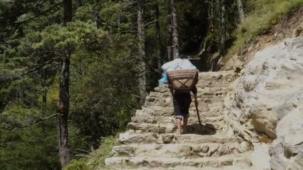 Porter is het dragen van een lading in de Himalaya — Stockvideo