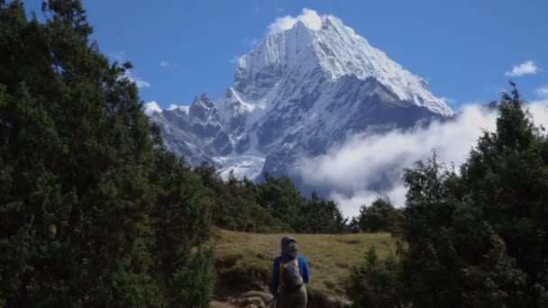 Flickor av turist gå längs leden i Himalaya. — Stockvideo