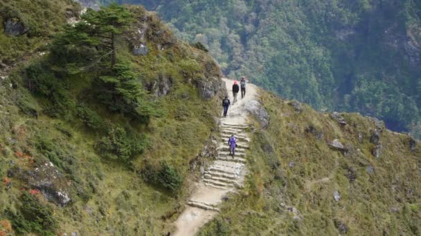 Yüksek dağ izi boyunca turist yürüyüş — Stok video