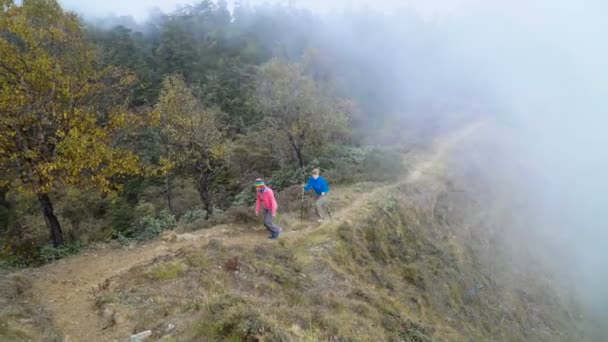 Turistler sisli ormanın içinde — Stok video