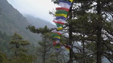 Budist dua bayrakları