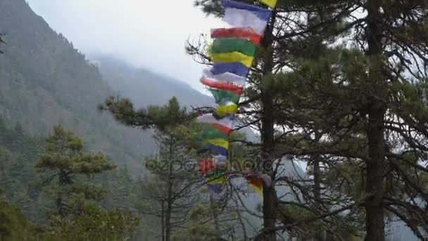 Буддийский молитвенный флаг — стоковое видео