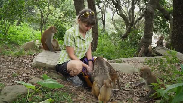 Het meisje feeds wilde apen — Stockvideo