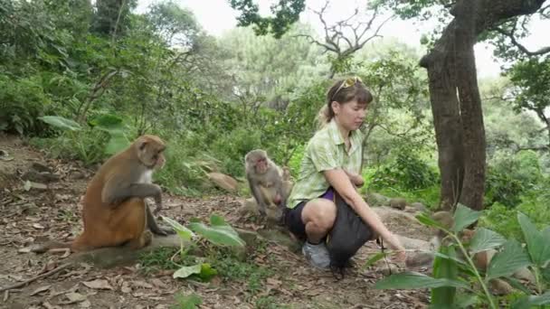 La ragazza nutre scimmie selvatiche — Video Stock