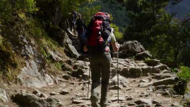 Muitos turistas e porteiros ascendem e descem no caminho rochoso de Lukla-Namche perto da aldeia de Manjo — Vídeo de Stock