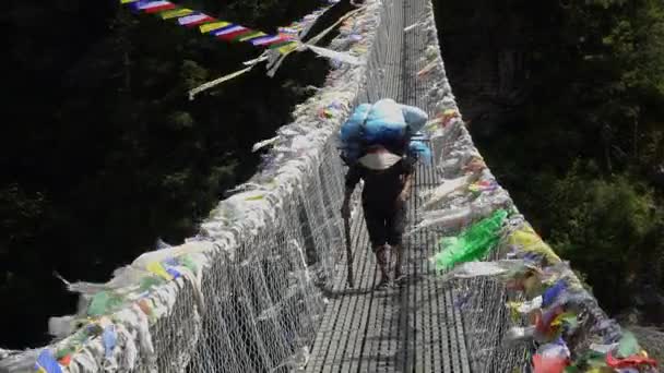 Porter sta trasportando un carico in Himalaya — Video Stock