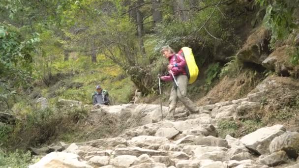 Touriste dans les montagnes de l'Himalaya — Video