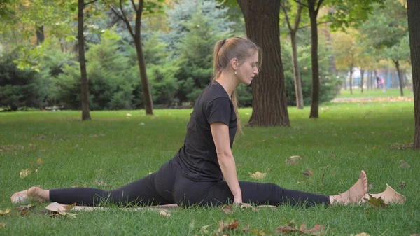 The young beautiful girl engaged in yoga
