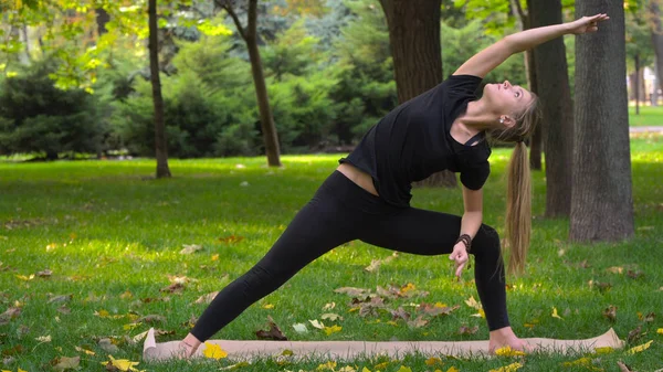 La joven hermosa chica dedicada al yoga Fotos de stock libres de derechos