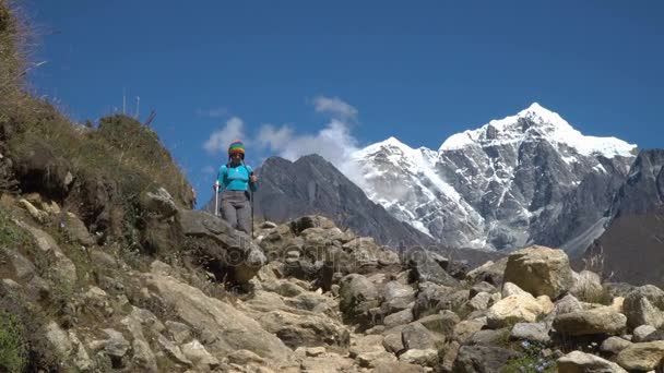 Девушка-туристка в Гималаях — стоковое видео