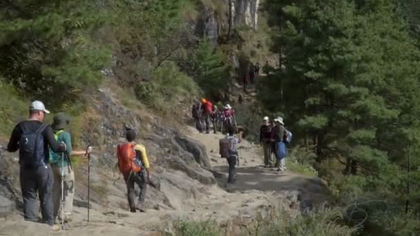 Muitos turistas estão perto da aldeia de Manjo — Vídeo de Stock