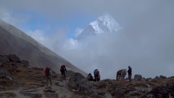 喜马拉雅山的游客和搬运工 — 图库视频影像