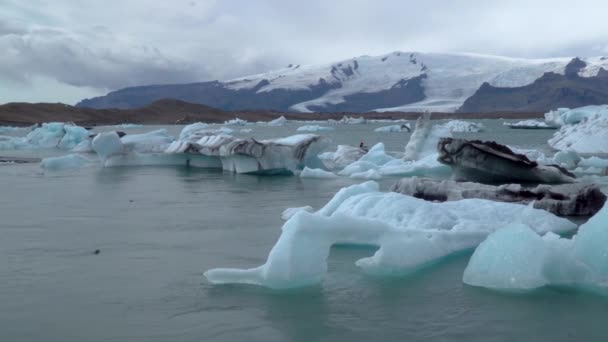 Belle vue sur la lagune de Jokulsarlon, Islande — Video