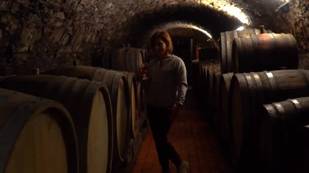 Une femme tient un verre de vin dans sa main — Video