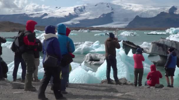 Touristen besuchen Jokulsarlon-Gletscher und in der Lagune schwimmende Eisberge — Stockvideo
