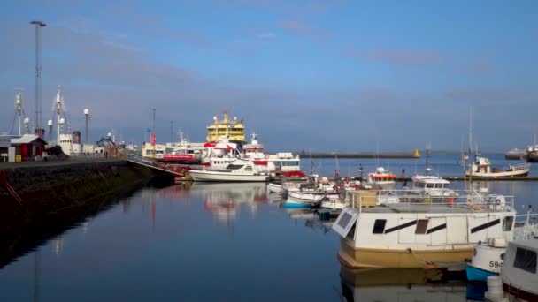 Schiffe und Boote an der Seebrücke festgemacht — Stockvideo