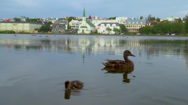 Krajobraz miasta Reykjavik w pobliżu jeziora Tjornin — Wideo stockowe