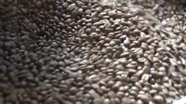 Roasting coffee beans at Roasting equipment — Stockvideo