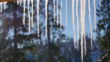 Damlayan bir çatıdan kar