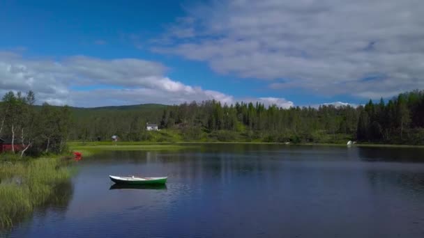 Flying over a lake and a forest — Stock Video