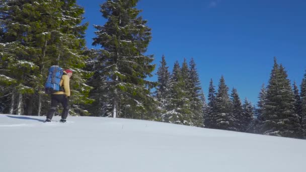 Hombre mochilero turista caminando nieve paisaje — Vídeos de Stock