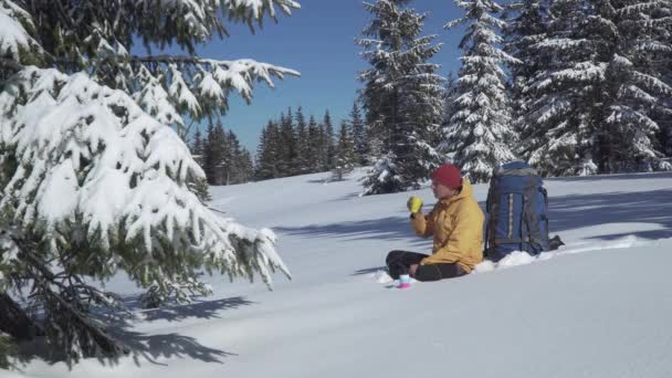 Un homme boit du thé en hiver dans une forêt d'hiver — Video