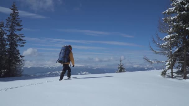 Άνθρωπος backpacker τουριστικό περπάτημα τοπίο χιόνι — Αρχείο Βίντεο