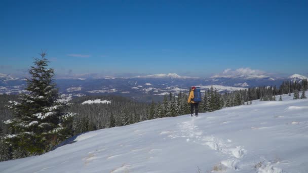 Sırt çantalı turist kar manzarasında yürüyor. — Stok video